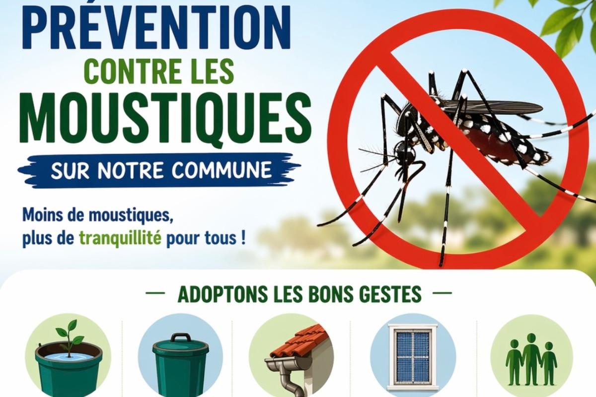 Prévention moustiques